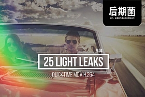 视频素材-25个镜头漏光炫光光晕动画素材part4
