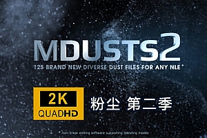 视频素材-125组2K实拍高清飘舞粉尘粒子特效视频叠加合成素材 MotionVFX