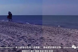 Premiere预设-70种超酷电影级白天黑夜调色预设