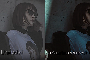 80年代复古怀旧电影LUTs调色预设 Retro 80s LUTs