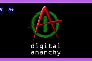 磨皮美颜锐化光照视频去闪烁插件 Digital Anarchy 2023.9 Win汉化