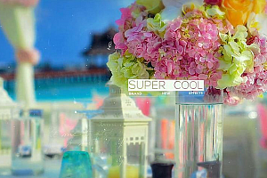 Premiere模板-唯美小清晰婚纱照幻灯片展示婚礼视频模板