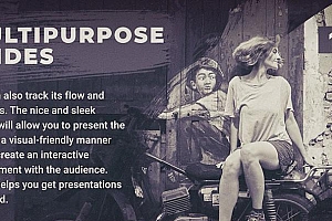 Premiere模板-历史英雄人物,大事件,重要时刻照片展现文字说明模板