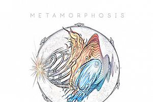 2300种烟花能量冲击发射飞行无损音效 Metamorphosis