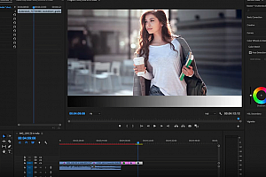 专业高级色轮色环视频调色AE/PR/PS插件 Warping Wheels v3.4.0 Win